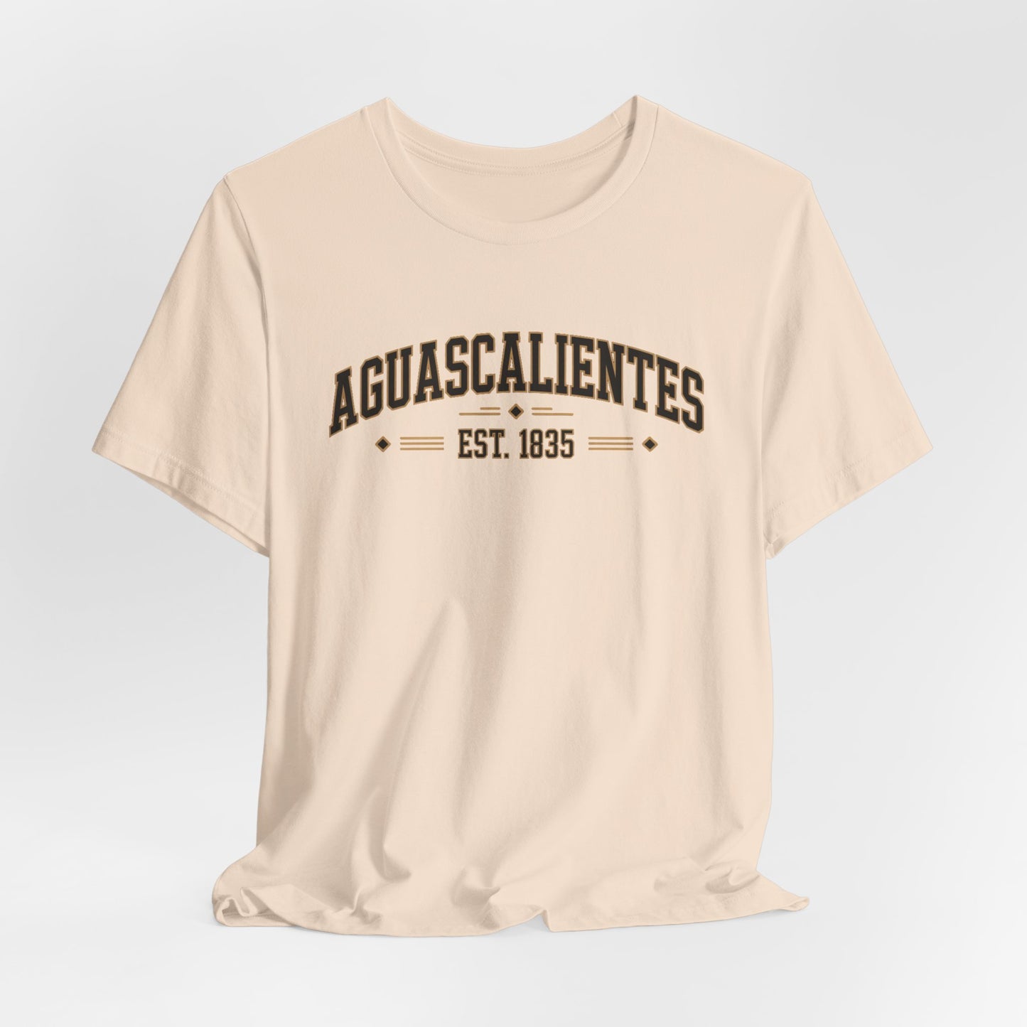 Aguascalientes T-Shirt - Mexican Heritage Tee - Ags Mexico Pride Gift - Hispanic Regional Shirt