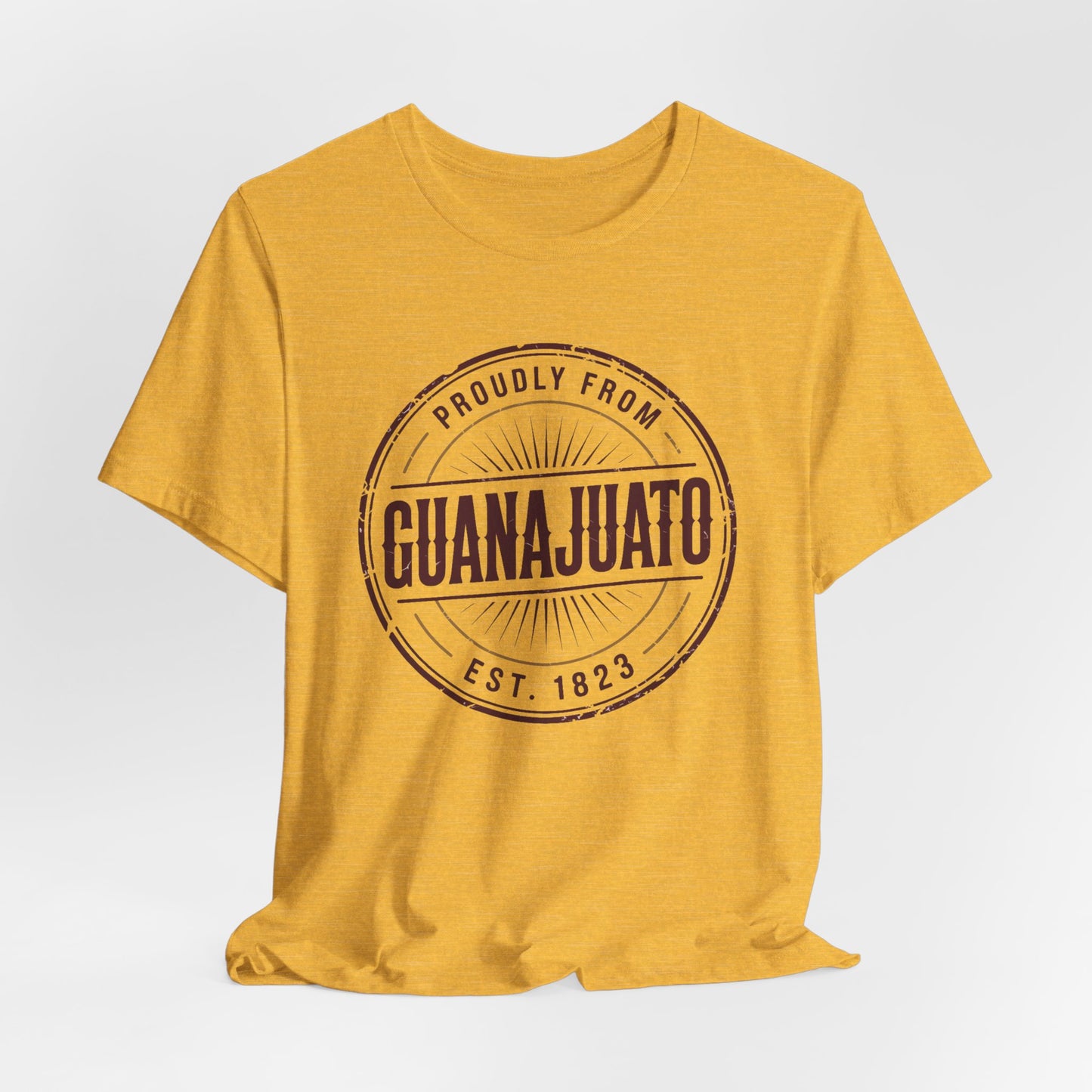 Guanajuato T-Shirt - Mexican Heritage Pride Tee - GTO Mexico Regional Gift - Hispanic Pride Shirt