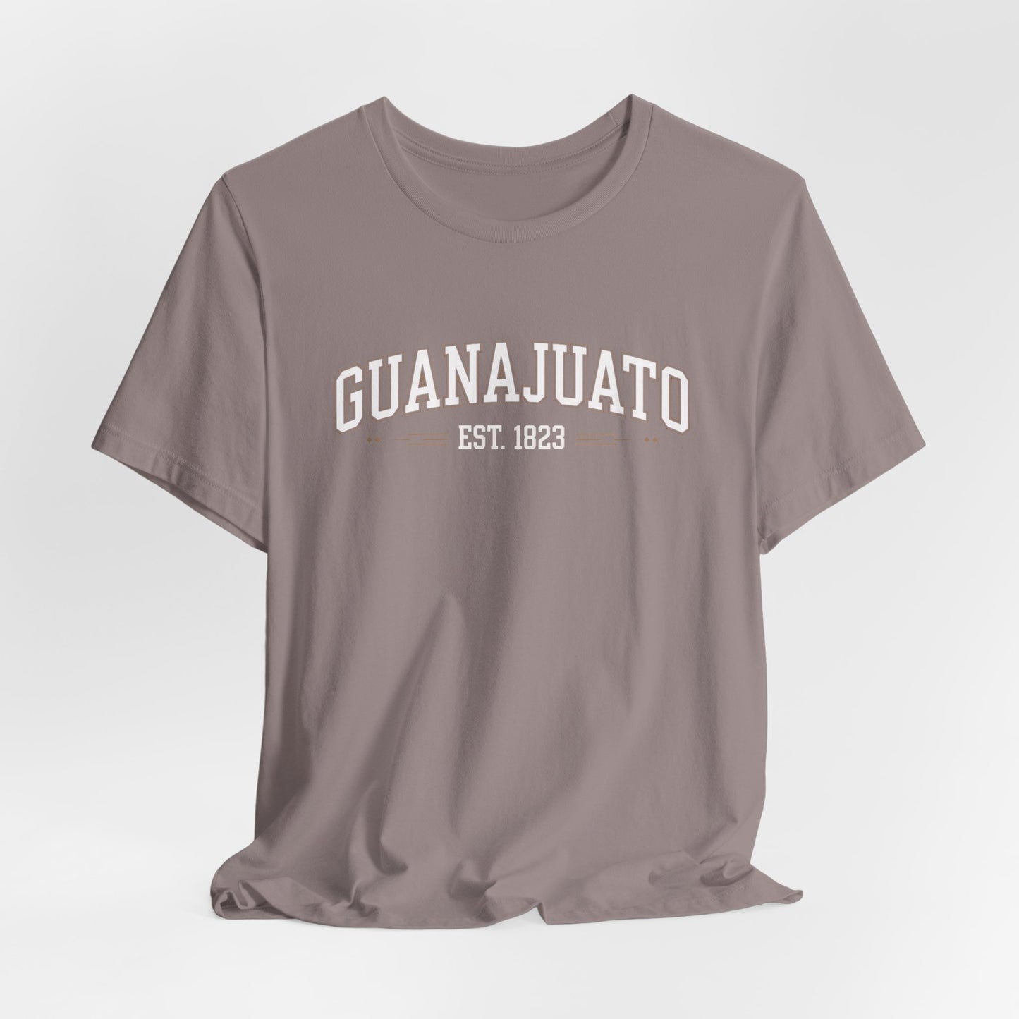 Guanajuato T-Shirt - Mexican Heritage Tee - Orgullo Mexicano Gift - Mexico State Pride Shirt - Hispanic Culture Wear
