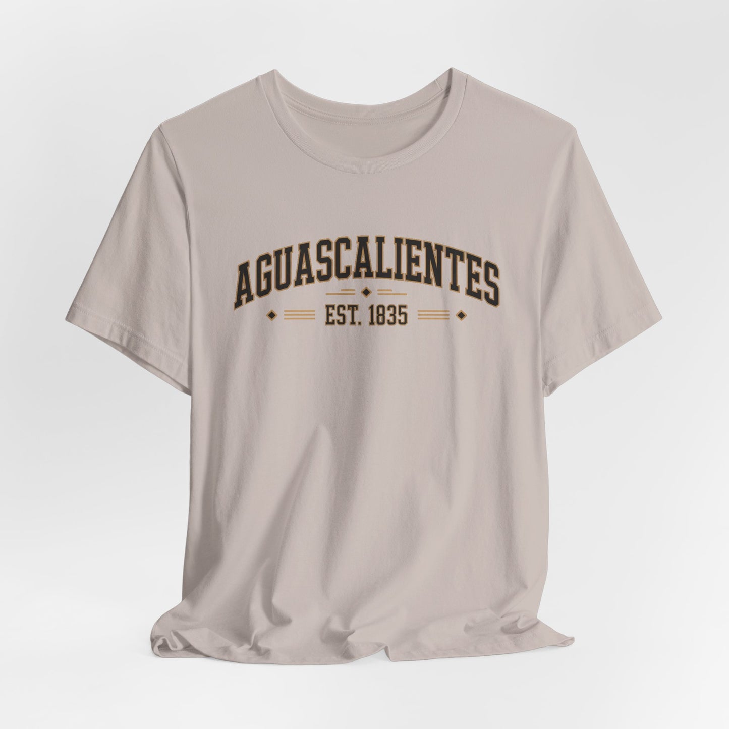 Aguascalientes T-Shirt - Mexican Heritage Tee - Ags Mexico Pride Gift - Hispanic Regional Shirt