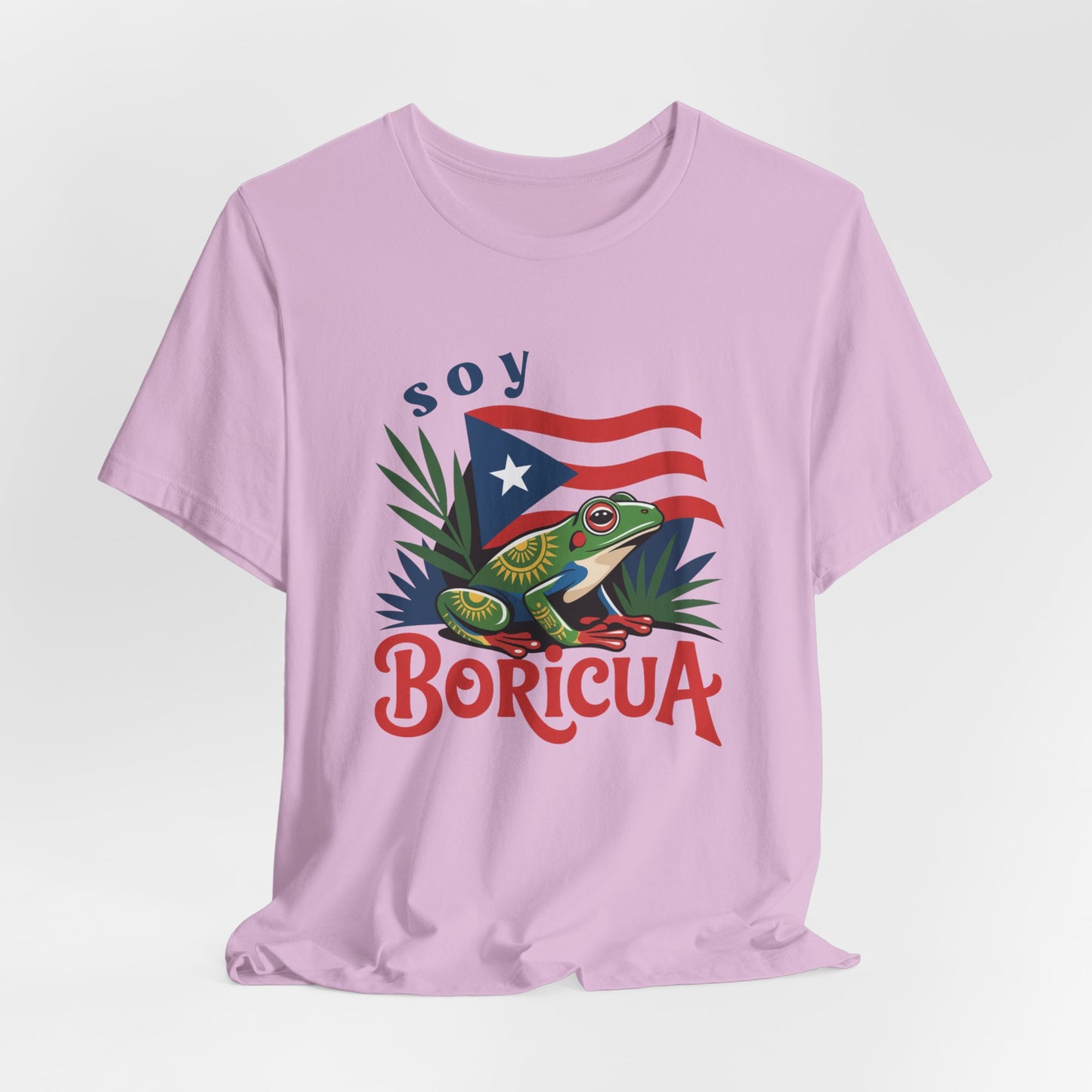 Boricua T-Shirt | Puerto Rican Pride Tee | Boricua Gift | Hispanic Culture Shirt | PR Island Pride | Boricua Amor