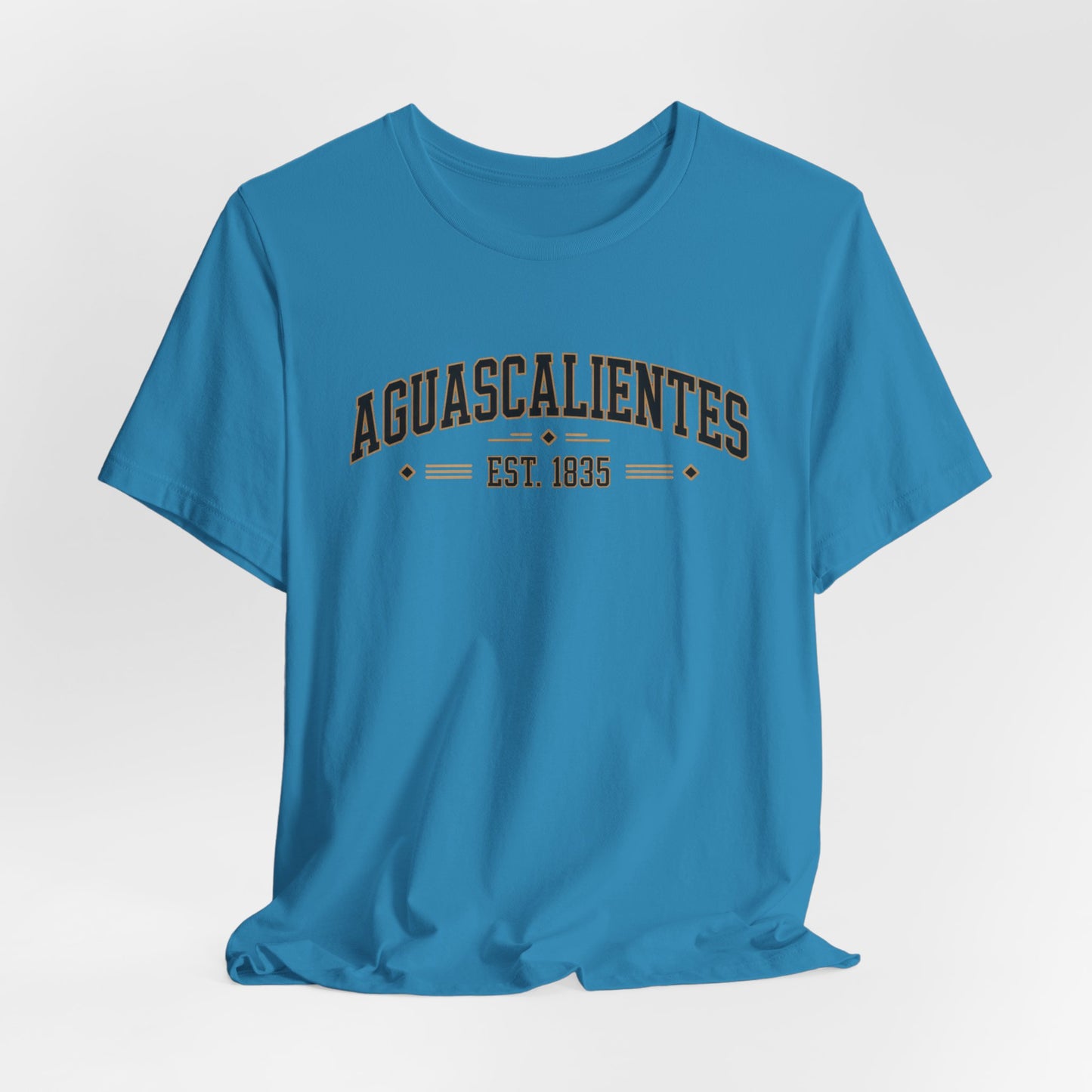 Aguascalientes T-Shirt - Mexican Heritage Tee - Ags Mexico Pride Gift - Hispanic Regional Shirt