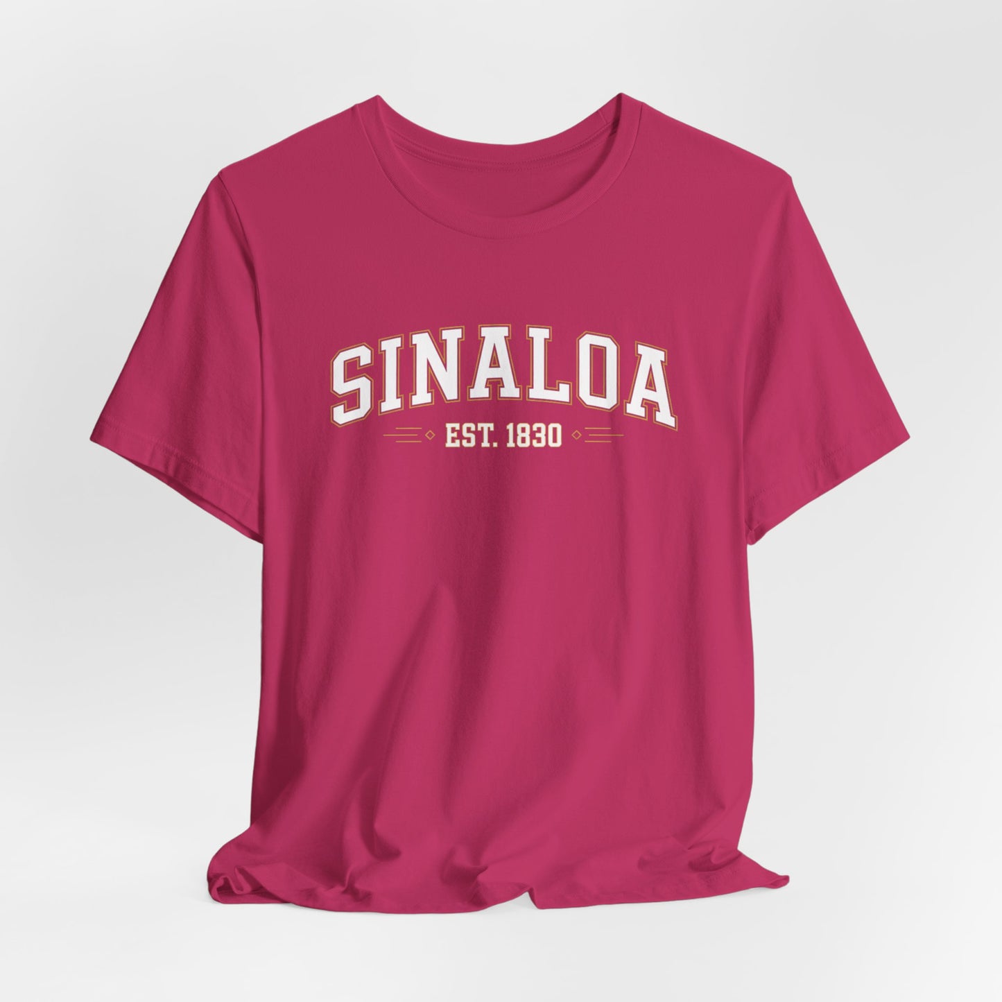 Sinaloa T-Shirt - Mexican Heritage Tee - Sinaloa Pride Gift - Estado Shirt - Hispanic Pride - Mexico Regional Wear
