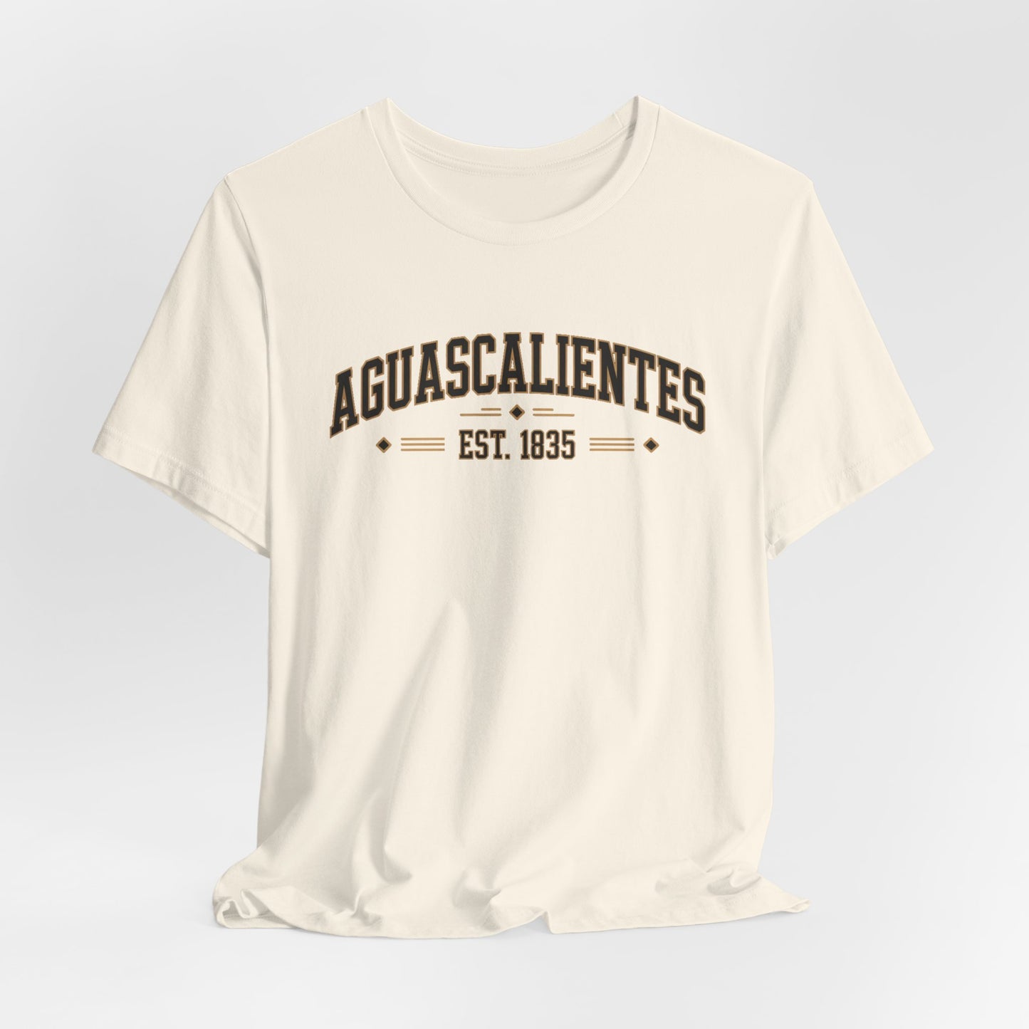 Aguascalientes T-Shirt - Mexican Heritage Tee - Ags Mexico Pride Gift - Hispanic Regional Shirt