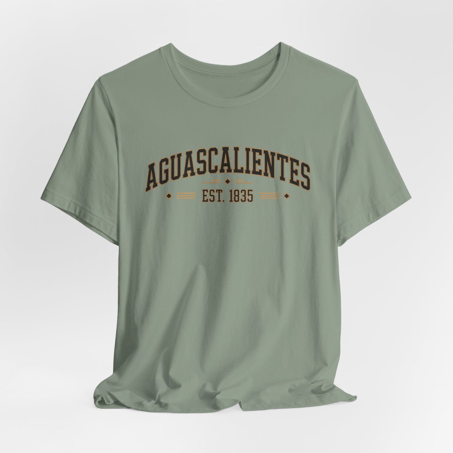 Aguascalientes T-Shirt - Mexican Heritage Tee - Ags Mexico Pride Gift - Hispanic Regional Shirt