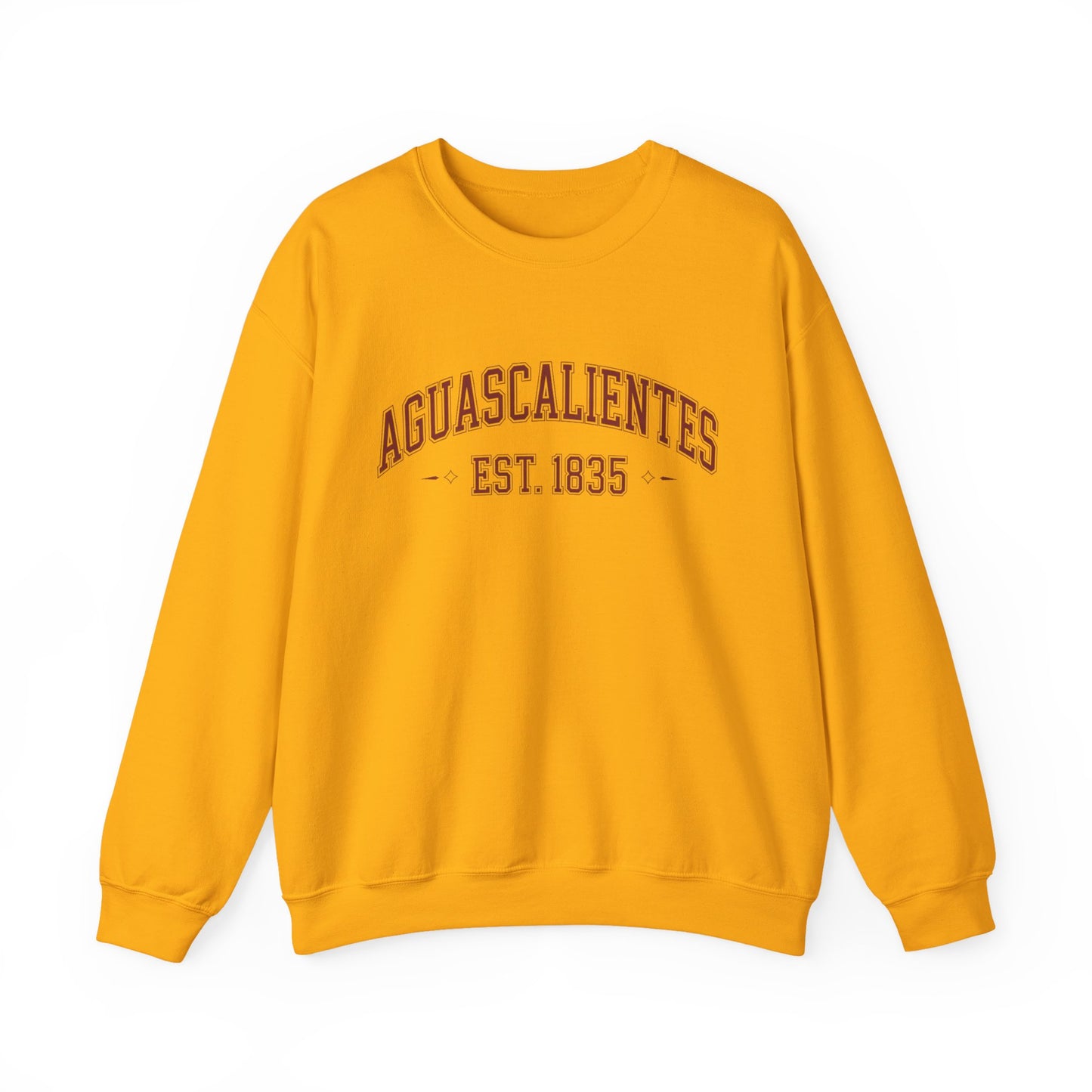 Aguascalientes Sweatshirt - Mexican Heritage Pride Hoodie - Ags Mexico Hometown Love Gift - Hidrocálidos Shirt