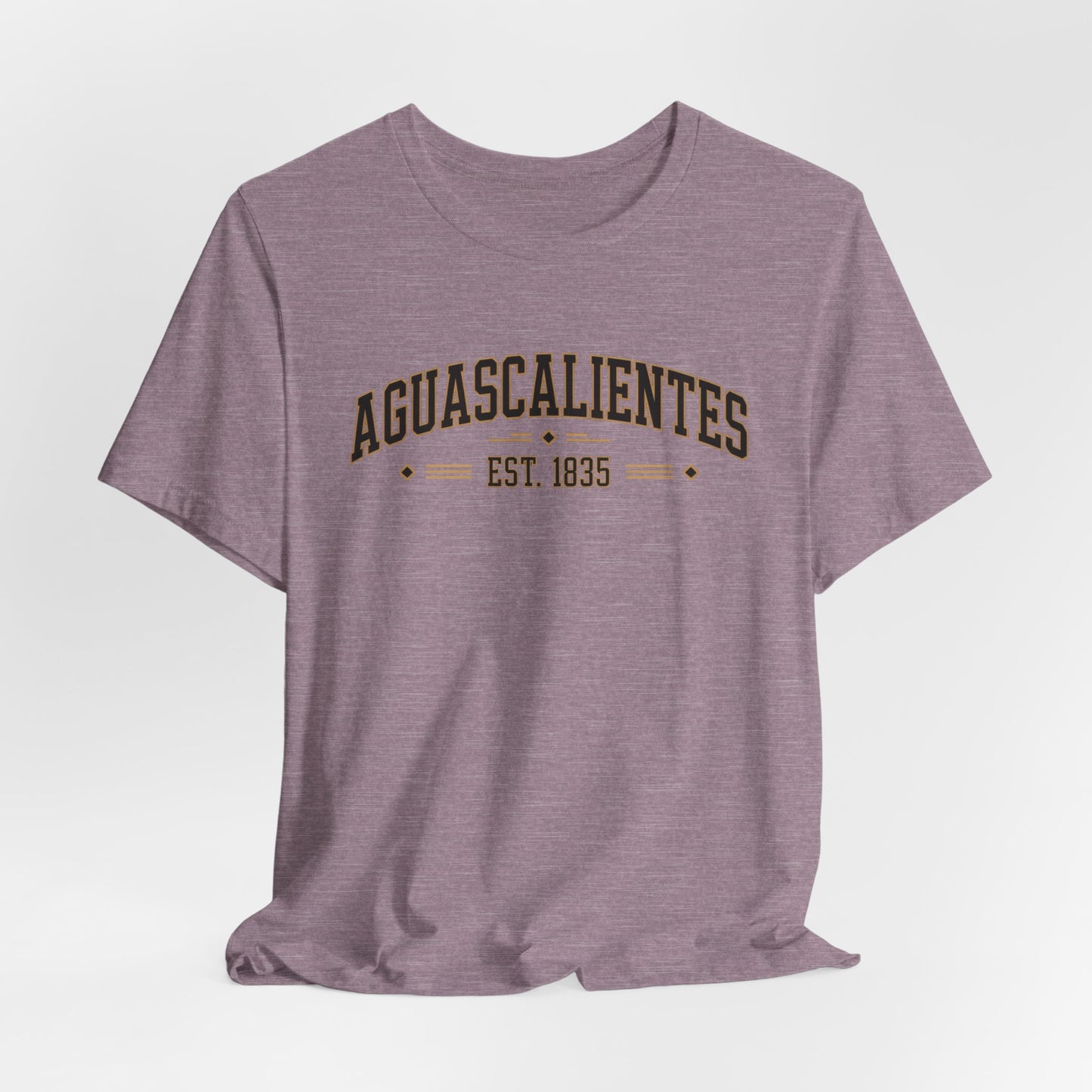 Aguascalientes T-Shirt - Mexican Heritage Tee - Ags Mexico Pride Gift - Hispanic Regional Shirt