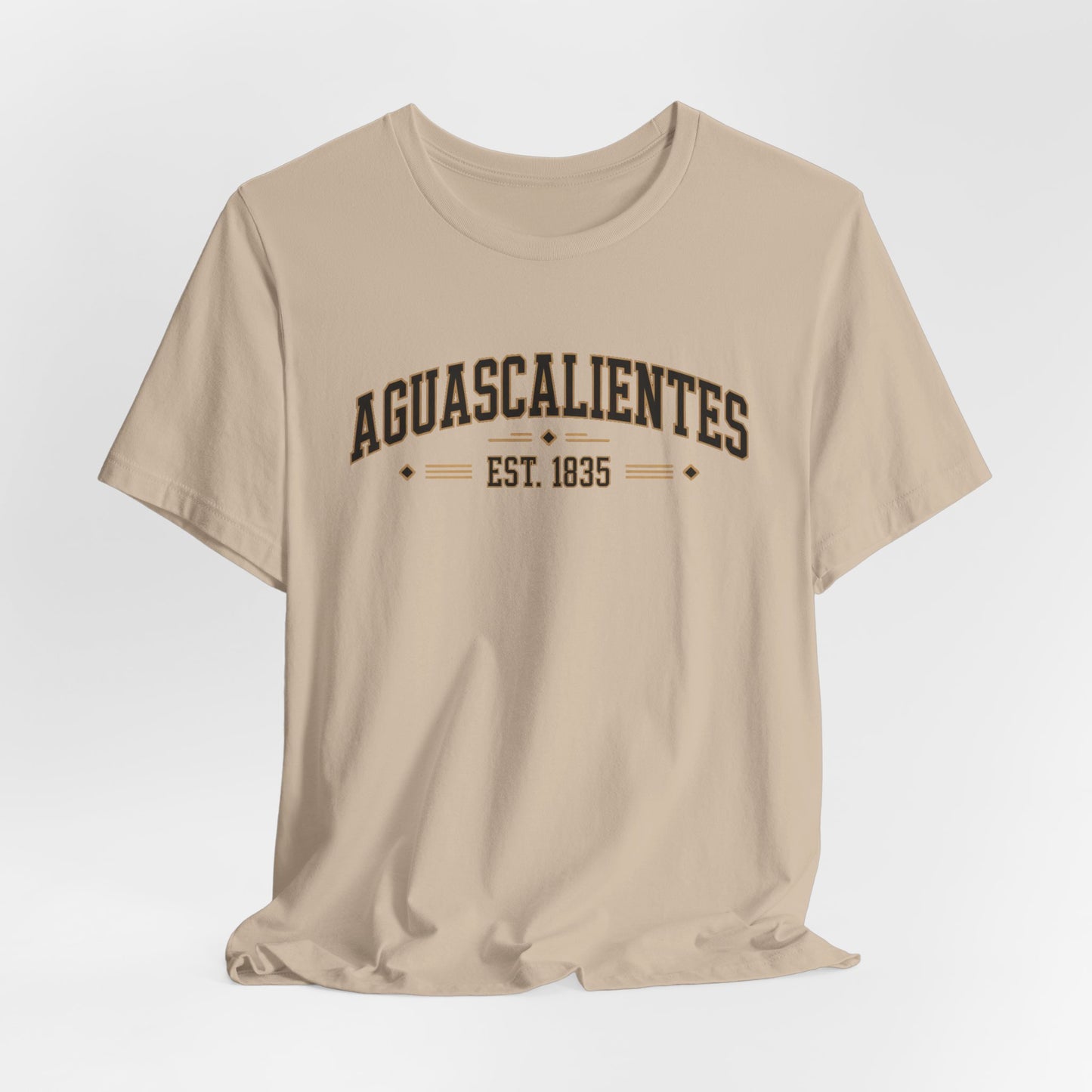 Aguascalientes T-Shirt - Mexican Heritage Tee - Ags Mexico Pride Gift - Hispanic Regional Shirt