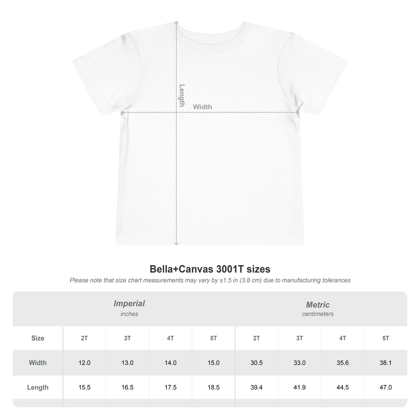 Promoted to Hermana Grande Gift Shirt, Big Sister Latina Tshirt, Hermana Grande Gift for Sister, Spanish Older Sister Tee